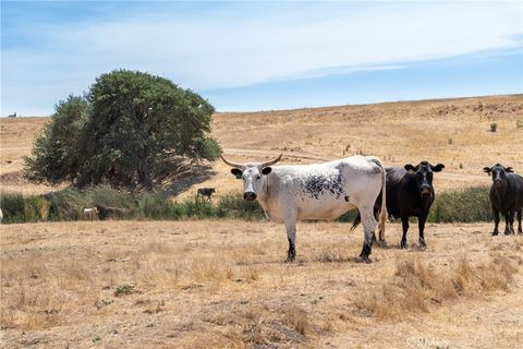 Tiny photo for 0 Creston Road, Paso Robles, CA 93446 (MLS # NS25184629)