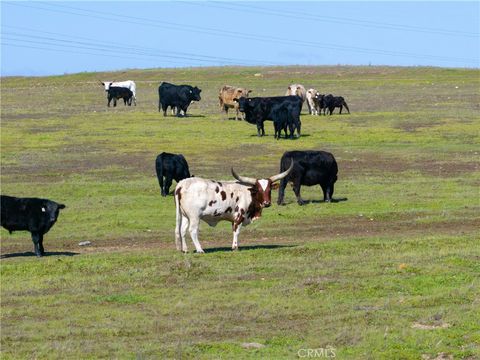 Tiny photo for 0 Creston Road, Paso Robles, CA 93446 (MLS # NS25184629)