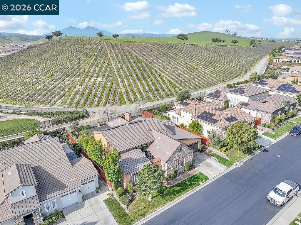 1155 1155 Saint Julien St