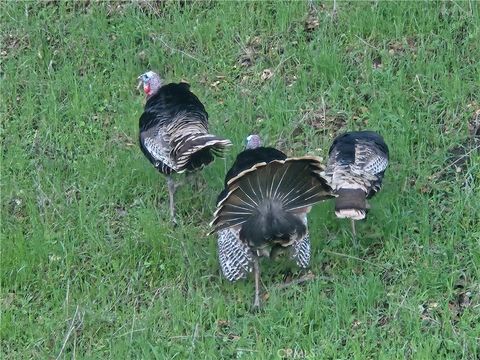 Tiny photo for 7330 Gage Irving Road, Paso Robles, CA 93446 (MLS # NS25057684)