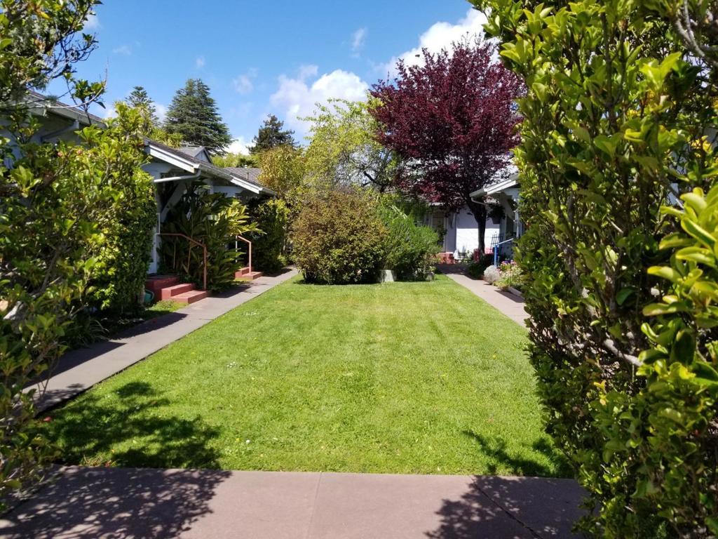 The charming Blue Bell Apartments are ideally located in the Beach Hill area of Santa Cruz, walking distance to the area beaches, the Santa Cruz Beach Boardwalk and the downtown restaurants and shopping areas. The garden style layout has an interior, landscaped court and common area, with a laundry room on-site. The 11 units are comprised of 3 studios and 8 one bedroom units. The Santa Cruz Downtown Expansion Plan brings growth and revitalization to this area and makes this property ideal for investors looking for a solid rental income property.