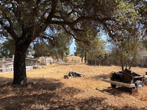 Photo of 0 Cleveland Forest Drive, Campo, CA 91906 (MLS # SW26162364)