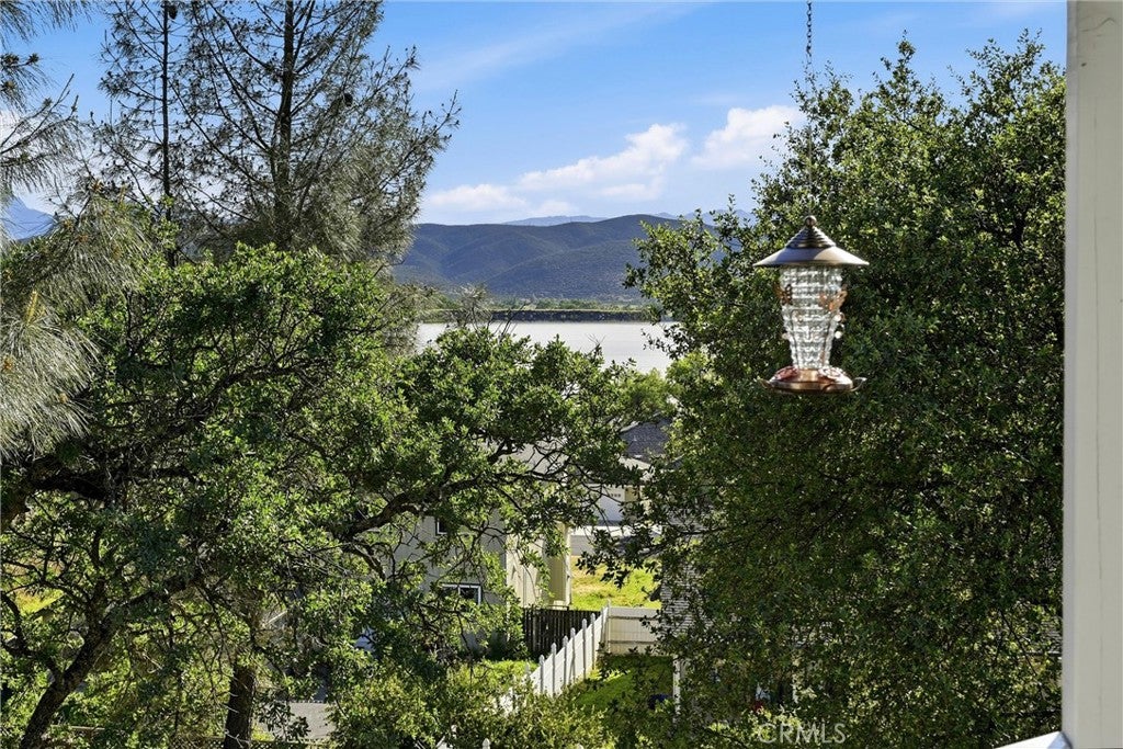 18669 Deer Hill