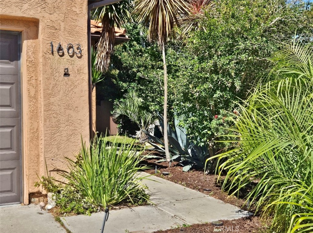 1603 Calle Las Casas