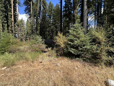 Photo of 604 Acorn Drive, Boulder Creek, CA 95006 (MLS # ML82060756)
