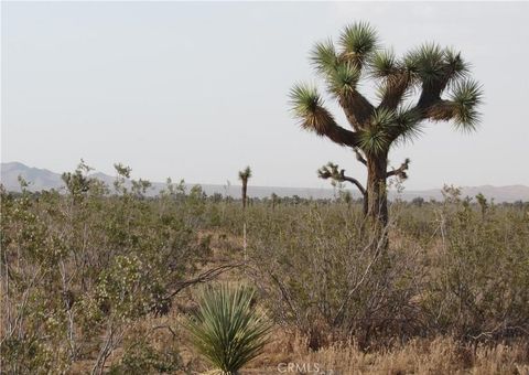 Photo of 0 3129-171-06-0000 Caughlin Road, Adelanto, CA 92301 (MLS # IG26023104)