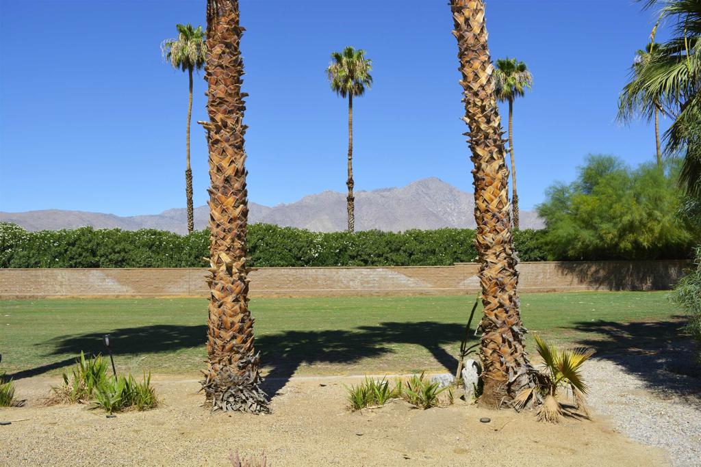 1010 Palm Canyon Dr #294