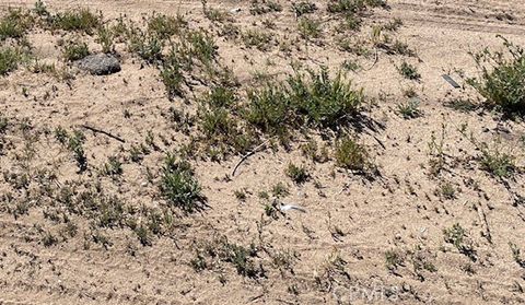 Photo of 0 APN# 081-293-34-00-6, Ridgecrest, CA 93555 (MLS # PW26065778)