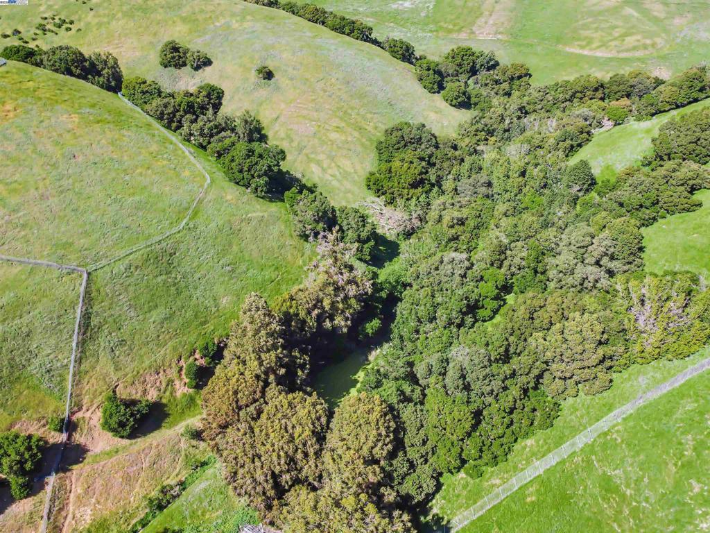 VARGAS PLATEAU - Residential