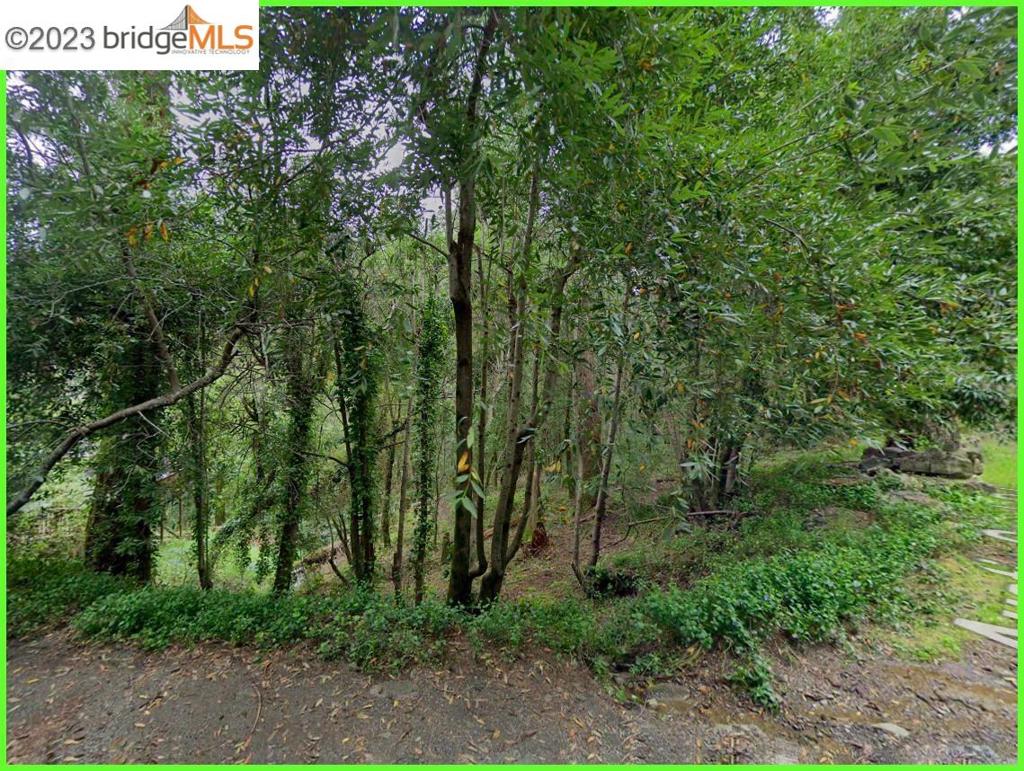 Nice lot perched above Austin Creek measuring 7,840 SQFT. APN: 106-070-040. Can also be combined with 2 additional adjoining parcels to total 23,043 SQFT ( APN’S: 106-070-041, 106-070-042) 6060, & 6040 Austin Creek Road)). Priced to sell quickly. Developed homes and cabins directly surround the property on either side. Get it before it's gone.