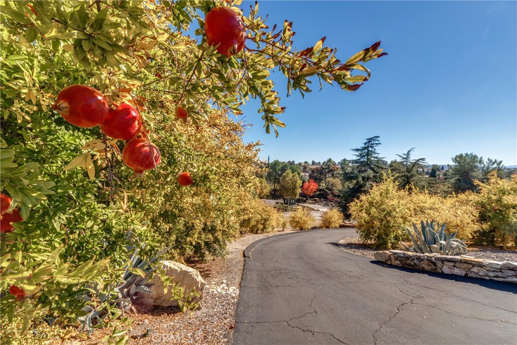 PR City Limits East(110) - Residential