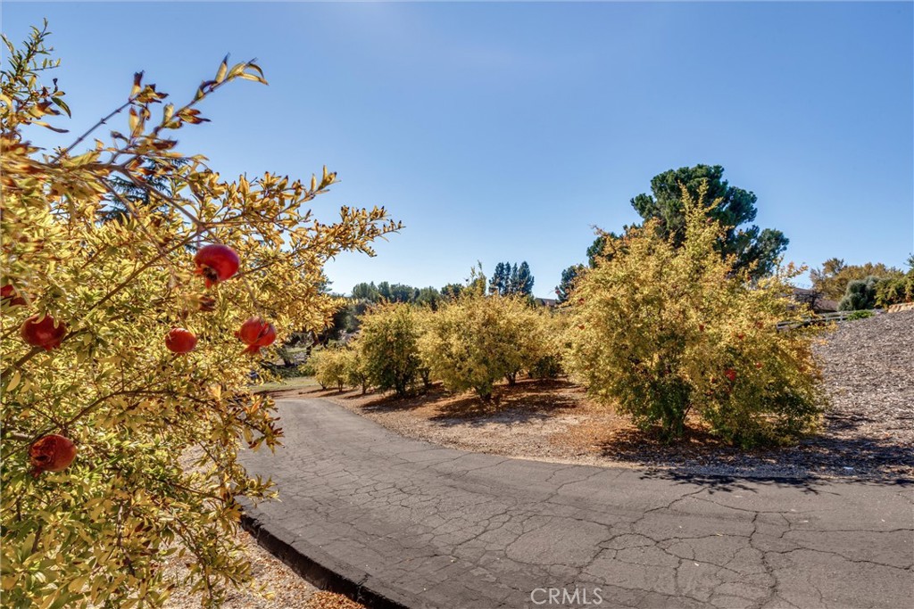 PR City Limits East(110) - Residential