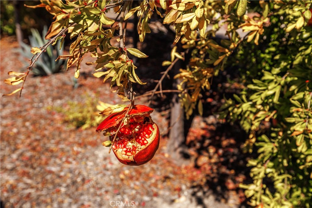 PR City Limits East(110) - Residential