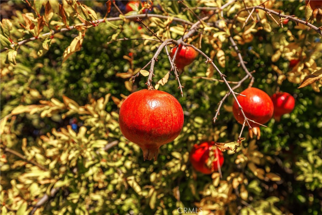 PR City Limits East(110) - Residential