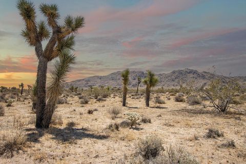 Photo of 125 Drexel Road, Joshua Tree, CA 92252 (MLS # 219131390PS) Photo of 125 Drexel Road, Joshua Tree, CA 92252 (MLS # 219131390PS)