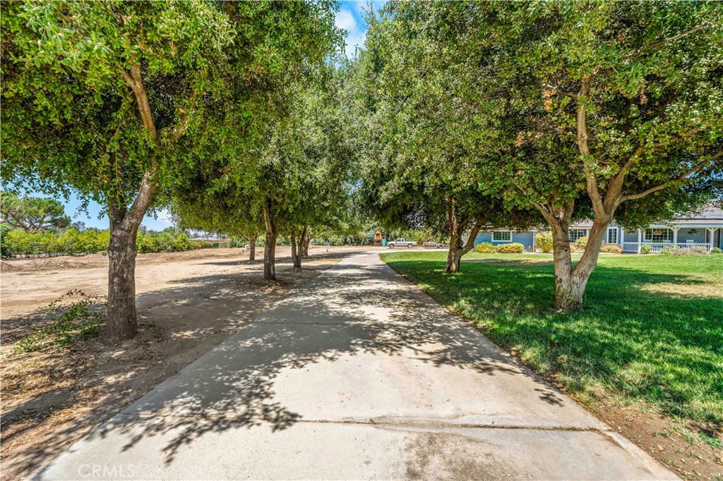 30520 Stein Way