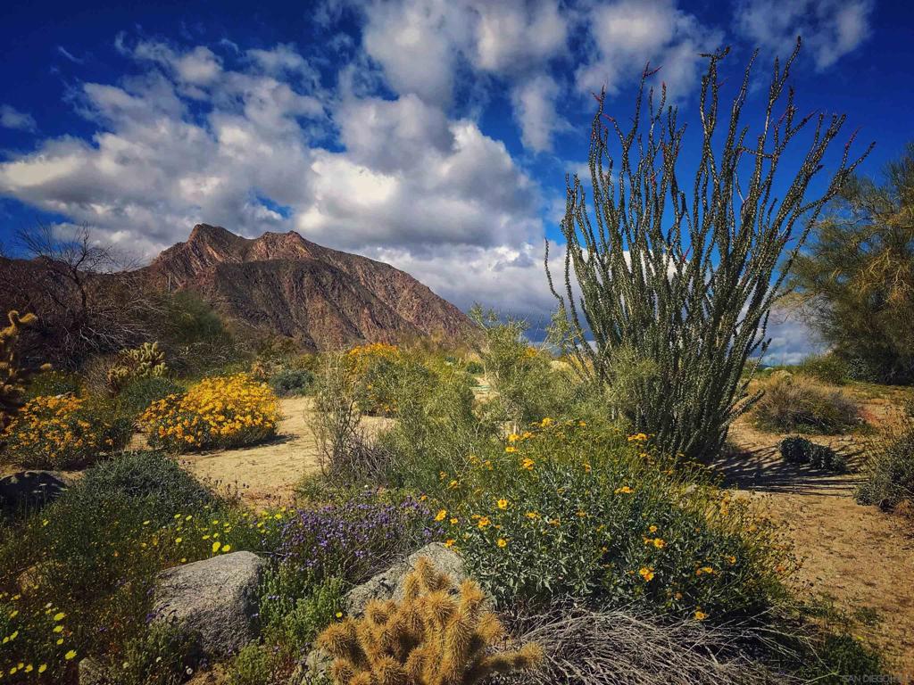 Deal of the Year! Approximately 317+ acres of vacant land with paved access in Borrego Springs, San Diego County. Density is a 20-acre minimum. This parcel has about one-half mile of paved frontage on Palm Canyon Drive. Property has approximately 12" Well. This is a perfect area for a weekend get-away. Once in lifetime investment opportunity.