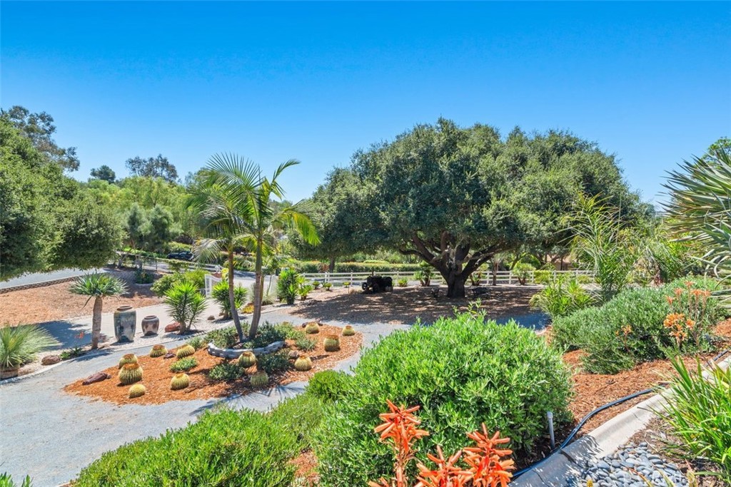 3912 Cirro Vista Way