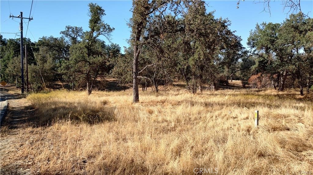 Great 1.19 acre lot in Yosemite Lakes Park! Easy access, level and ready to build! Included in the sale are the plans for a 1730 sq. ft, 3 bedroom with optional 4th bedroom and 2 bath home, supplied by an architect in Madera.