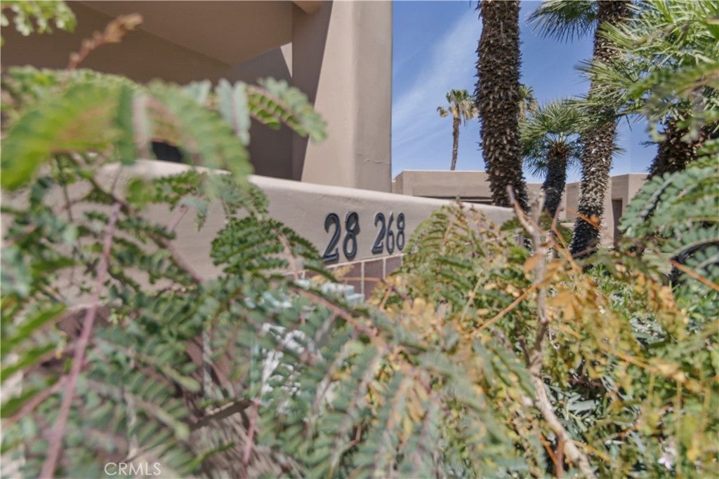 28268 Desert Princess