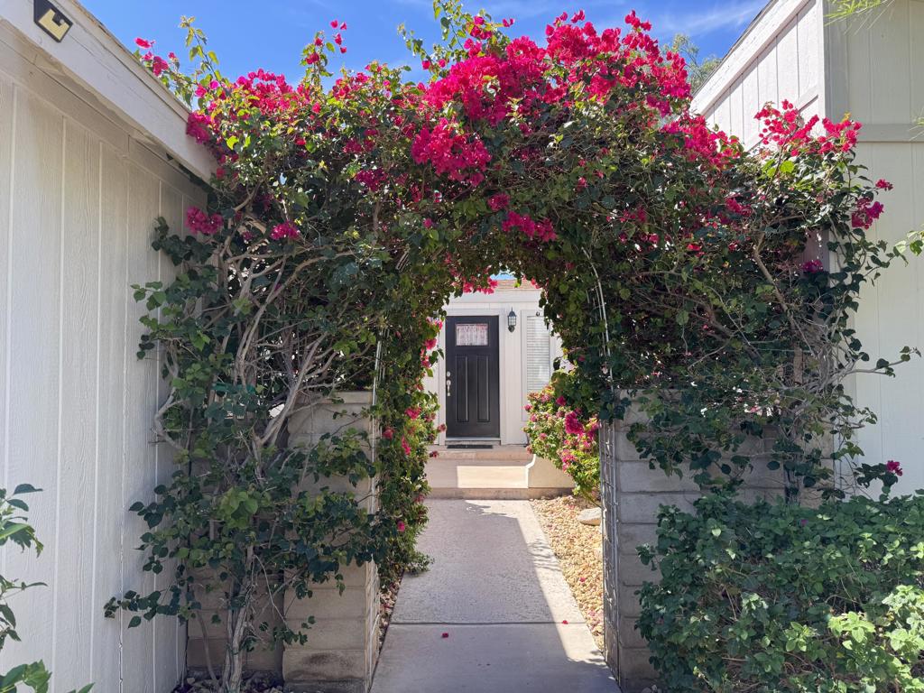 74661 Mexicali Rose