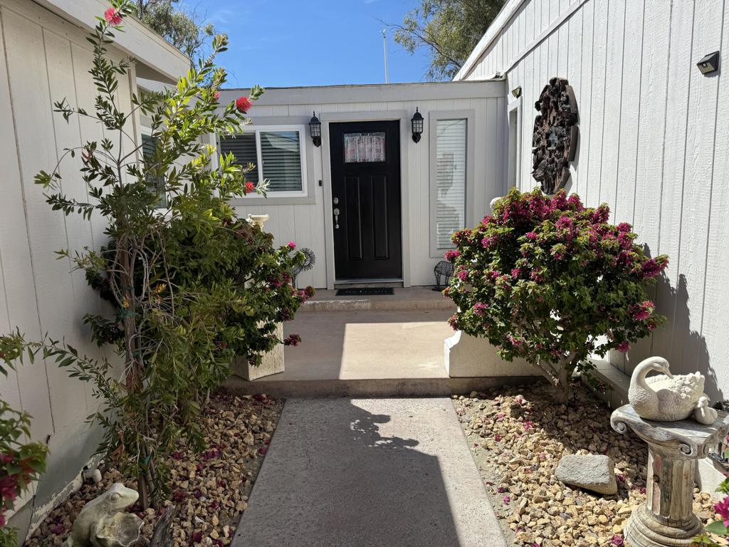 74661 Mexicali Rose