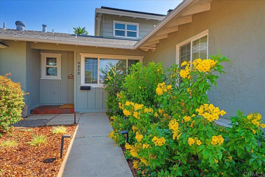 4812 Mount Almagosa