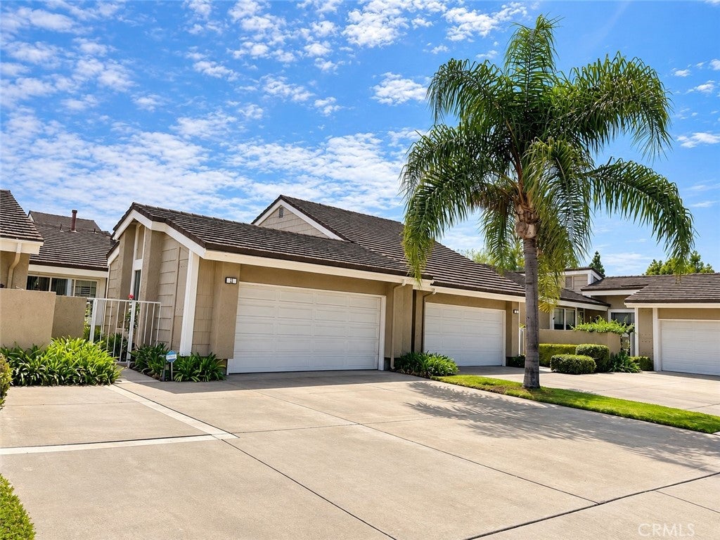 11 Beechwood