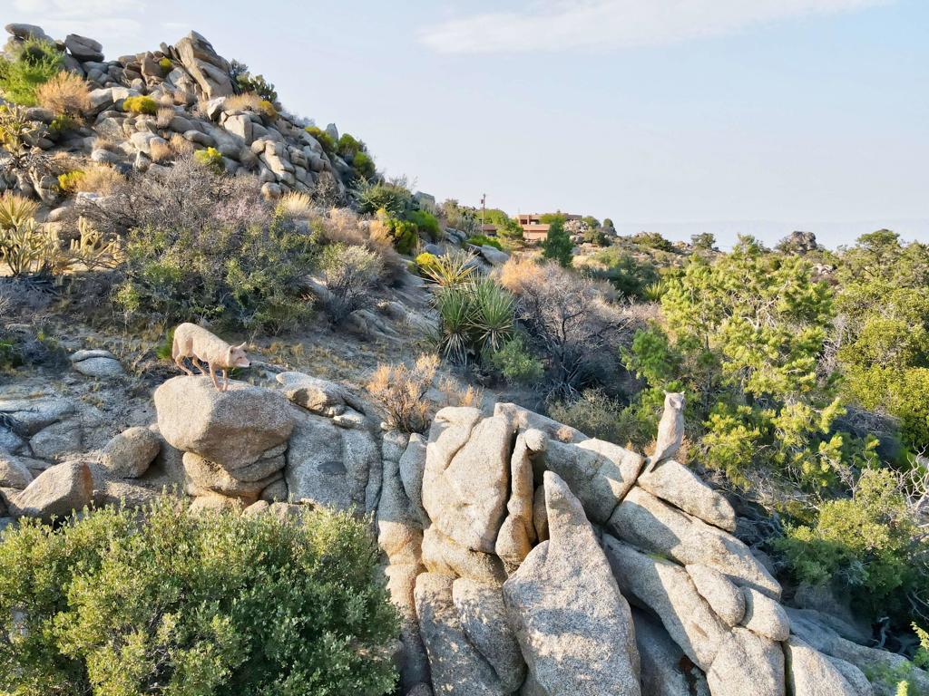 Pinyon Crest - Residential