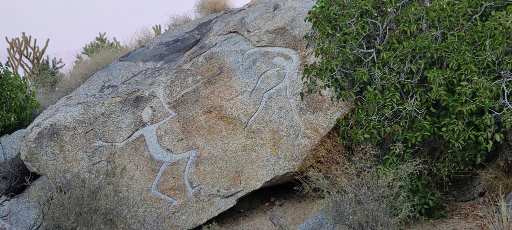 Pinyon Crest - Residential