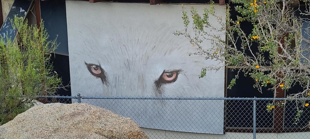 Pinyon Crest - Residential