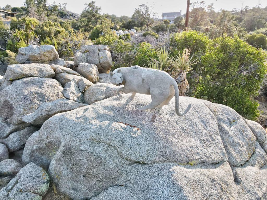 Pinyon Crest - Residential