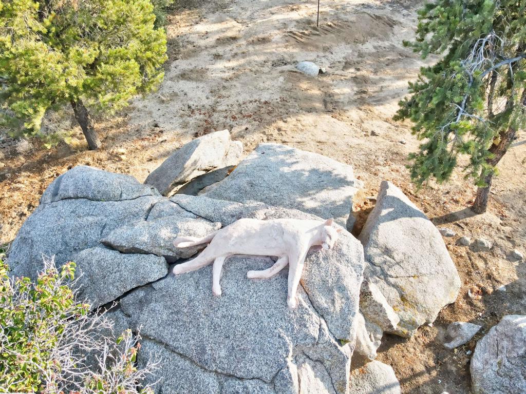 Pinyon Crest - Residential