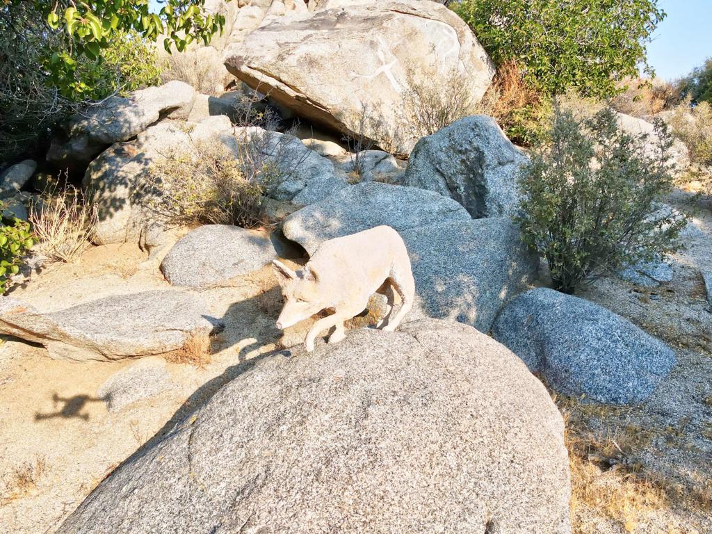 Pinyon Crest - Residential