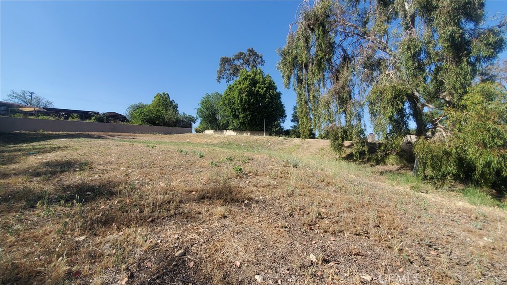 8091 Camino Predera