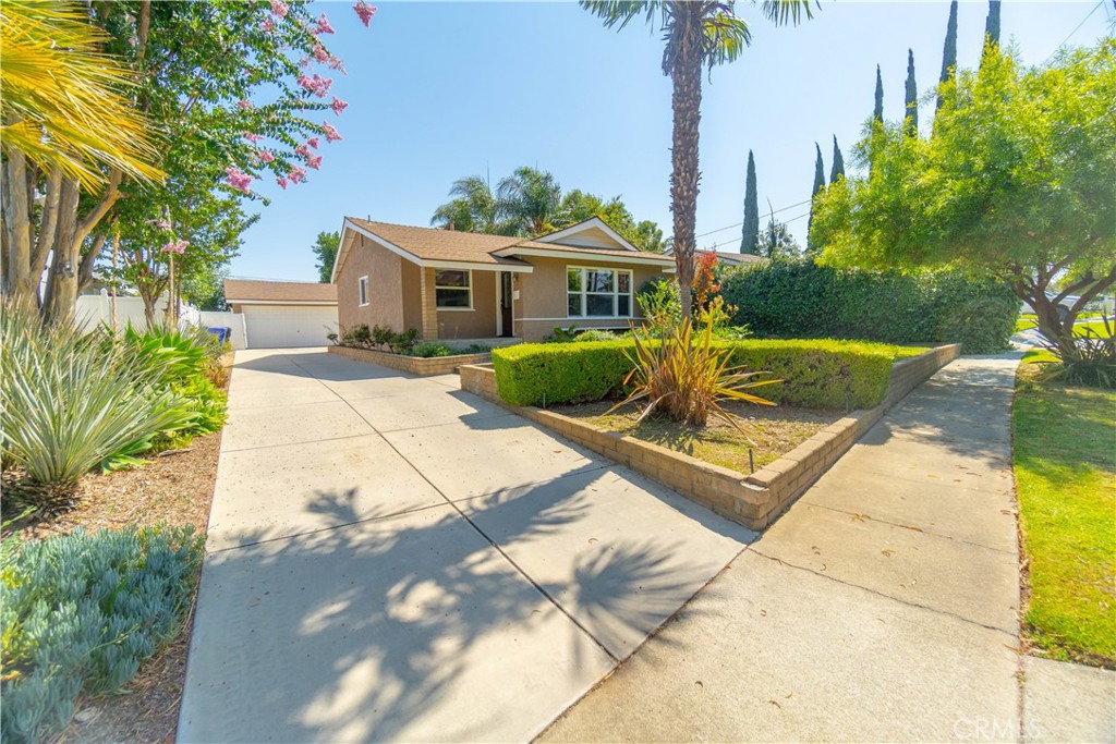 8965 Candlewood Street