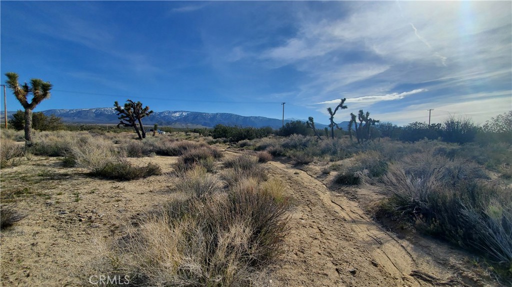 0 Antelope Hwy (138) & West Street