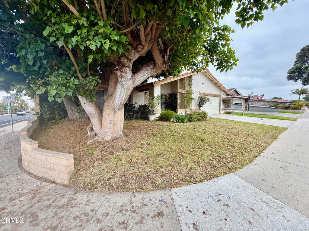 1431 Holly Avenue
