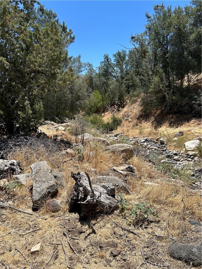 248 Bodfish Canyon