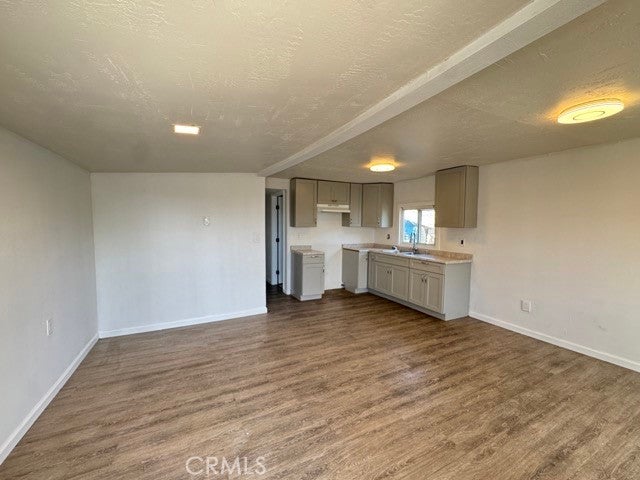 16118 Bellflower 40
