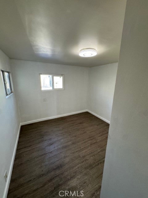 16118 Bellflower 40