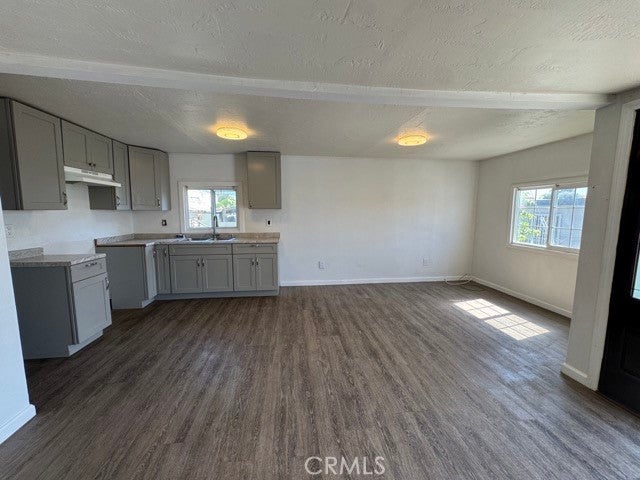 16118 Bellflower 40