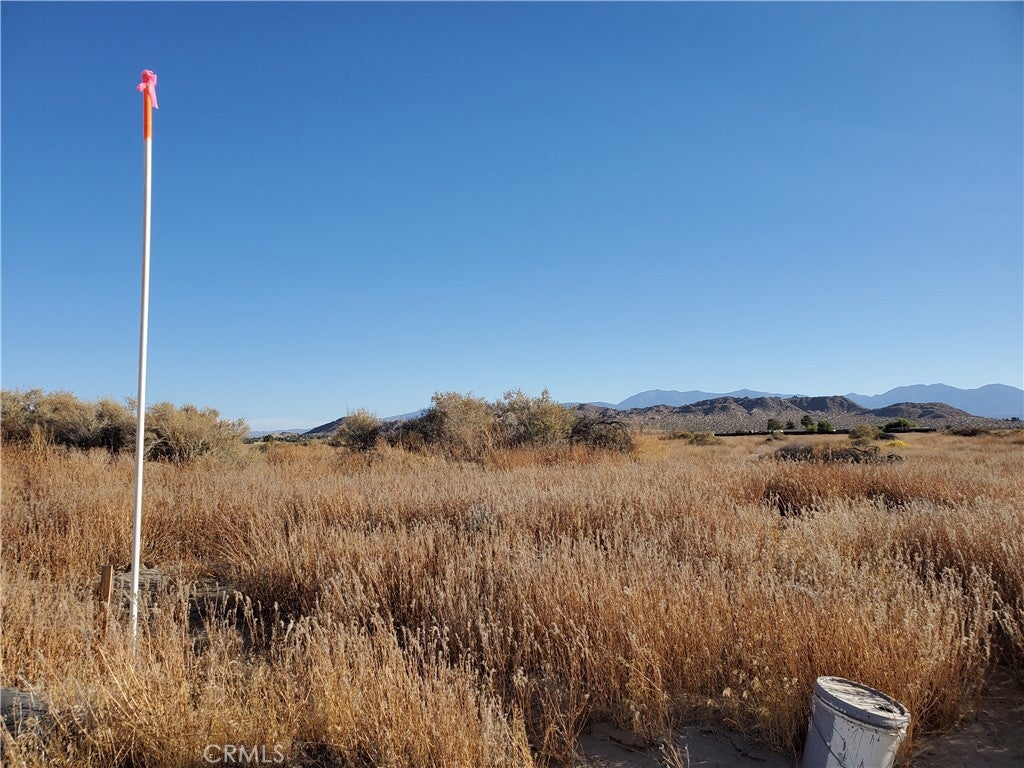 2 AC Near 150th Street