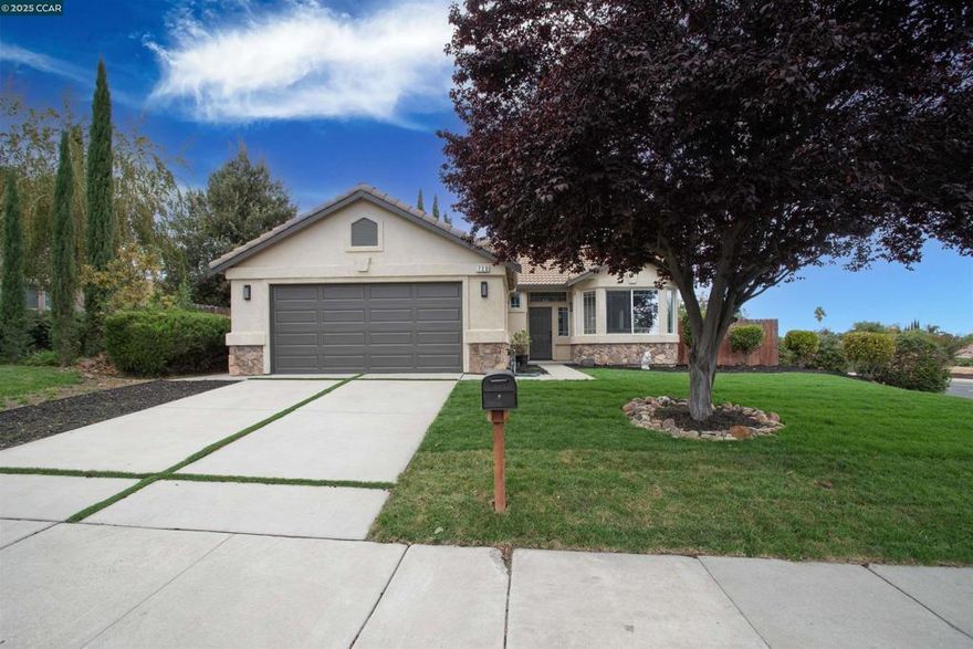 ||OPEN HOUSE 10/18 1-3pm||Gracefully set behind a sweeping front lawn, this exquisitely reimagined residence blends modern elegance with timeless comfort. Inside, neutral luxury vinyl plank flooring flows throughout a light-filled layout enhanced by fresh designer paint, recessed lighting, and meticulous attention to detail. The gourmet kitchen impresses with sleek contemporary cabinetry, granite countertops, a deep stainless-steel tub sink, gas range, and elevated microwave that maximizes workspace. A spacious pantry, sun-drenched breakfast nook, and stylish bar counter open seamlessly to the dining area and grand family room, crowned by vaulted ceilings, clerestory windows, and a sophisticated gas fireplace. The primary suite is a serene retreat featuring a spa-inspired bath with dual vanity, rainfall shower, and private water closet—refined finishes are mirrored in the hall bath. A dedicated laundry room with custom cabinetry leads to the finished garage. Expansive sliding doors reveal a tranquil patio overlooking the effervescent wrap-around grounds, ideal for entertaining, gardening, or play. A rare opportunity to experience this exceptional residence, perfectly positioned near scenic trails, parks, schools, shopping, dining, freeway access, and BART.