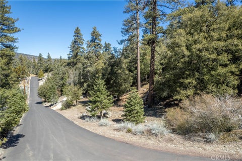 Photo of 1300 Banff Drive, Pine Mountain Club, CA 93222 (MLS # SR26221324)
