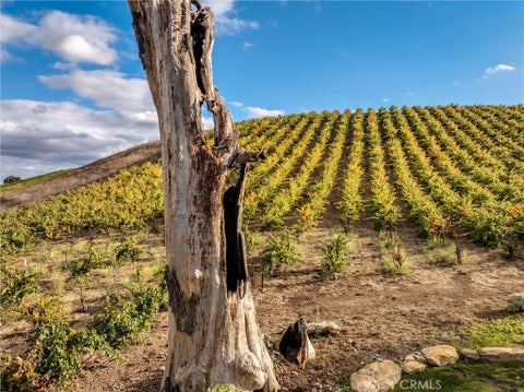 Tiny photo for 3130 Oakdale Rd. RD, Paso Robles, CA 93446 (MLS # SC26203962)