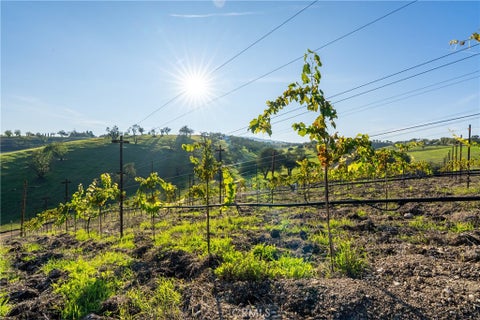 Tiny photo for 550 Villa Lots Rd Rd, Paso Robles, CA 93446 (MLS # NS26140696)