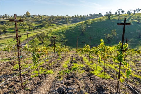 Tiny photo for 550 Villa Lots Rd Rd, Paso Robles, CA 93446 (MLS # NS26140696)