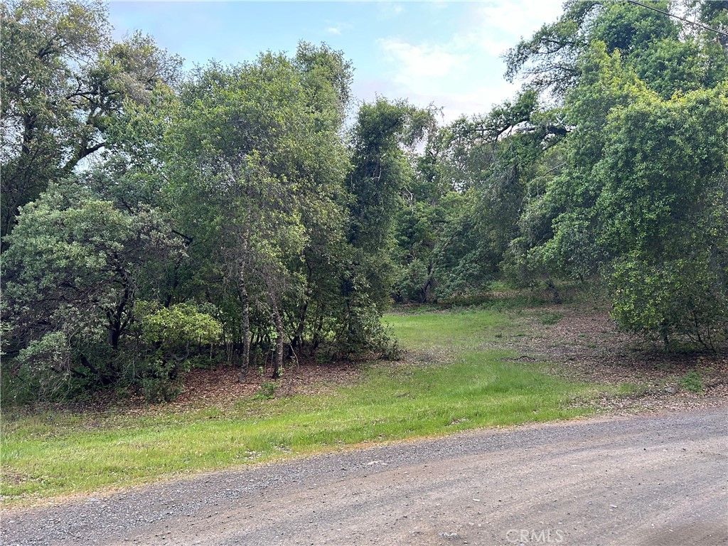 listing image 130728831360372309815