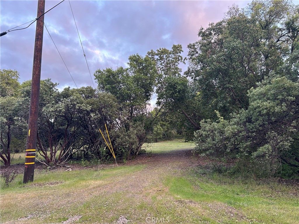 listing image 130724300112624101123